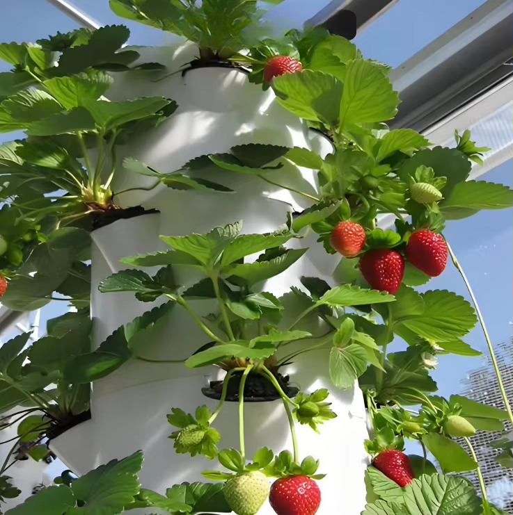 Modular hydroponic growth wall - Urban Farming Urban Gardening 评论和价格